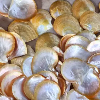 Design sans titre (37)