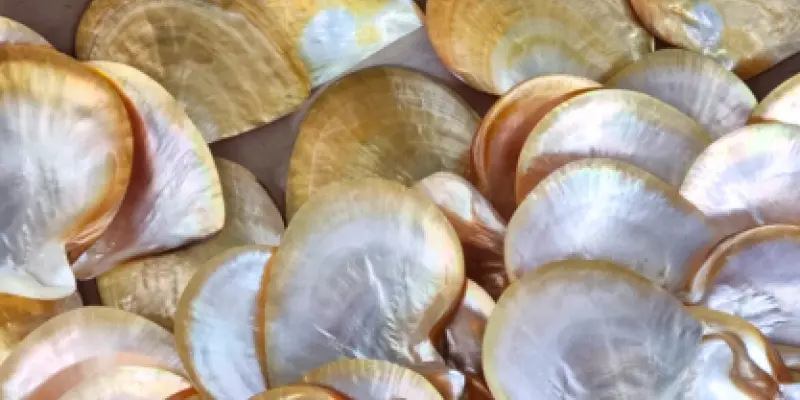 Design sans titre (37)