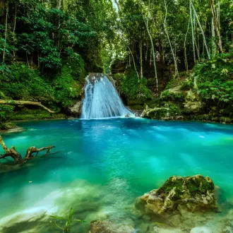 Design sans titre (87)