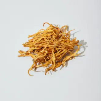 noonbrew-lOzvCmXRWJU-unsplash