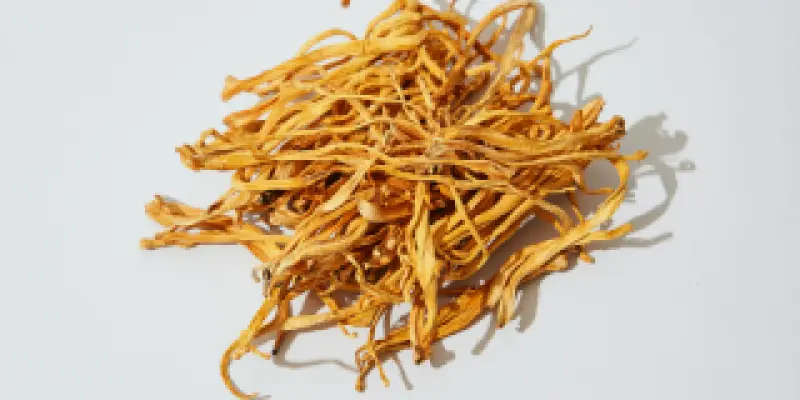 noonbrew-lOzvCmXRWJU-unsplash