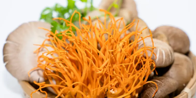 pexels-dungmedia-18049796