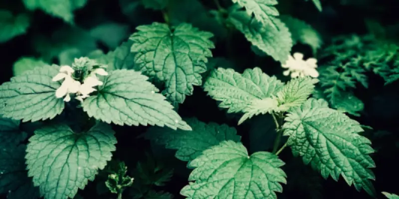 photo-1511622921011-c25dae45bfcd