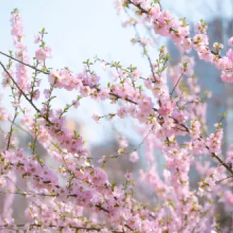 pexels-phoenix-leung-477338926-24538586