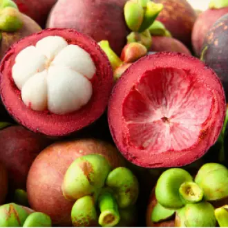 Design sans titre (67)