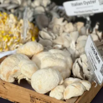 pexels-planka-28700282