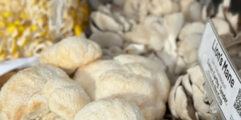 pexels-planka-28700282