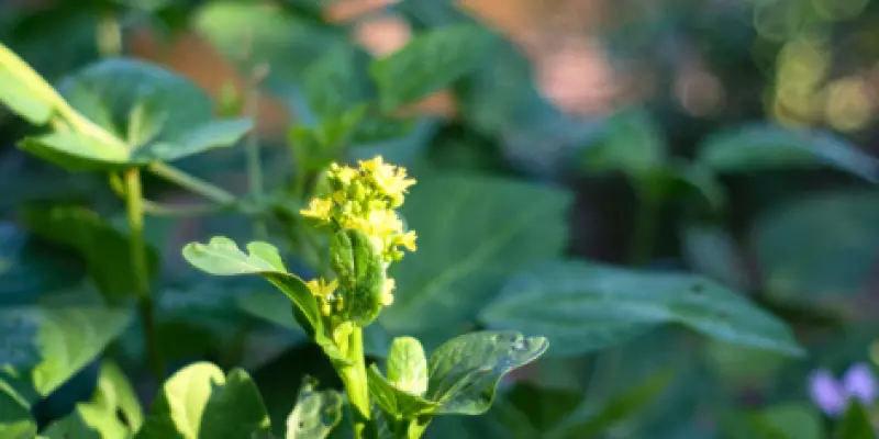 Design sans titre (100)