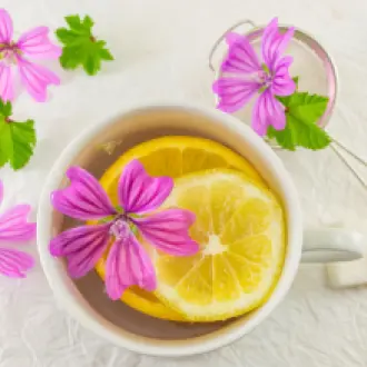 Design sans titre (72)