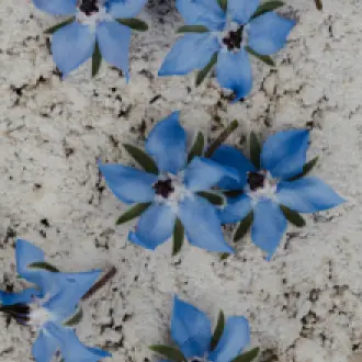 kate-cullen-yJJJz184j5o-unsplash