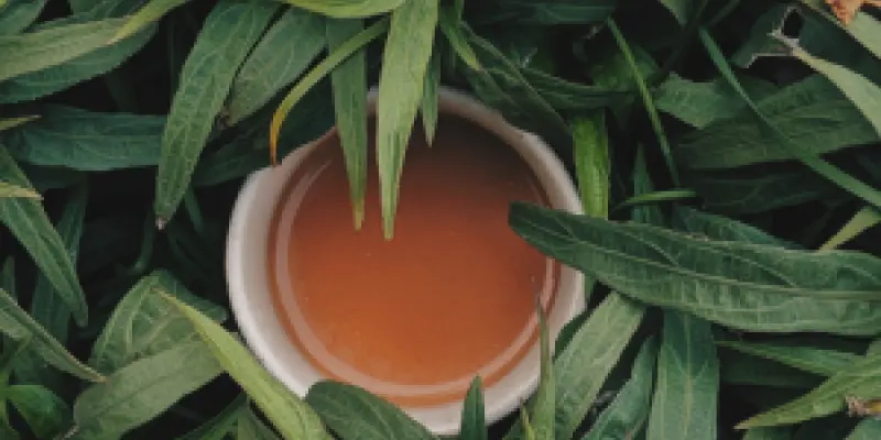 aniketh-kanukurthi-Qaor6nxikUM-unsplash